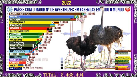 Os Países com Maior Nº de Avestruzes em Fazendas em Todo o Mundo