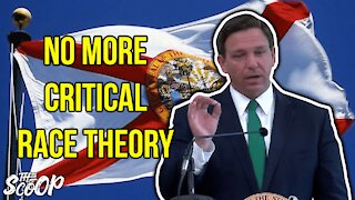 Gov. Ron DeSantis Slams Critical Race Theory As Unsubstantiated