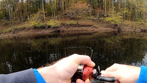 Chain Pickerel Fishing a River in the Fall (Rapala Jerkbait)