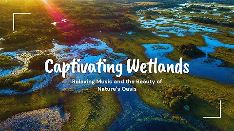 Nature's Captivating Wetlands | Majestic Flora and Fauna | Immersive Relaxing Music #naturebeauty