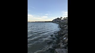 Bay Fishing With Mullet