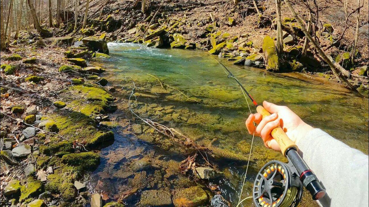 Fishing in a Small Creek 