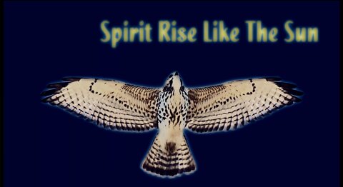 Song: Spirit Rise Like The Sun by Spicy Frost