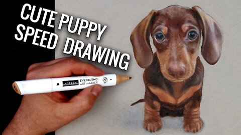 How to draw the cutest puppy. Realistic art