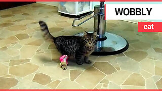 A wobbly kitten can now walk straight thanks to 3D printing technology