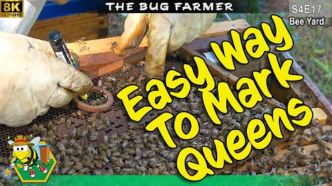 Easy Way To Mark Queens | Removing Heaters |White and Blue Inspection | #beekeeping #insects #bees