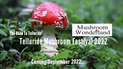 "The Road To Telluride- The Telluride Mushroom Festival 2022" Trailer
