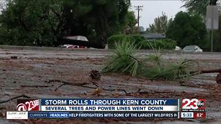 Several trees and power lines down after storm in Bakersfield