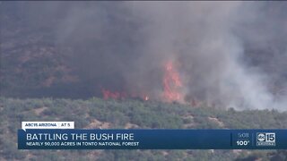 Battling the Bush Fire