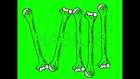 Ulna (Right) x Habilis