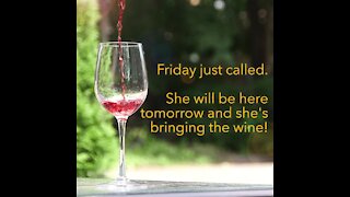 Friday called, shes bringing wine [GMG Originals]