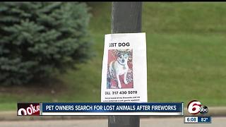 Pet owners search for lost animals after fireworks