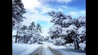 DESERT SNOWFALL! Surreal snowy spots in Arizona - ABC15 Digital