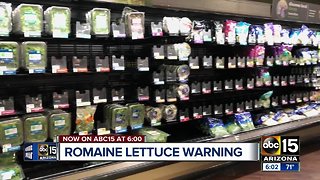 So you've thrown out your romaine lettuce. What next?