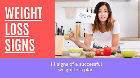 11 signs of a successful weight loss plan