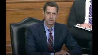 Tom Cotton Grills Biden Nominee On "Divisive" Critical Race Theory Training-1707