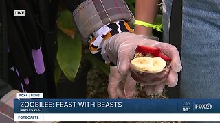 Naples Zoobilee feast with acai bowls