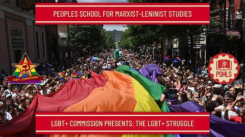 The LGBT+ Struggle - PSMLS Class