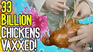 BIRD FLU HOAX: 33 BILLION CHICKENS VAXXED! - Avoid The Pharma Poisoned Food Supply!