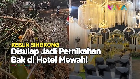 Jangan Anggap Remeh, Pernikahan di Kebun Singkong Ini Bak di Hotel Mewah