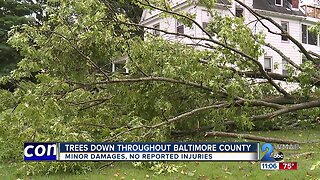 Trees down throughout Baltimore County causes minor damage