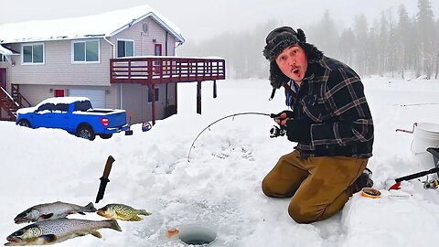 I bought a MOUNTAIN FISHING FARM! Ice Fishing for TROUT (Catch & Cook)