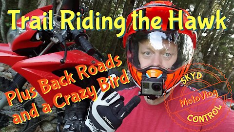 Trail Riding on the Hawk 250 Enduro - MotoVlog & Exploring Ammonoosuc Rail Trail and Scenic NH