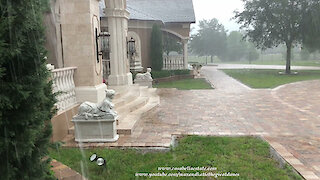 Great Dane Watches Florida Thunderstorm Create A Waterfall