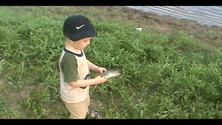 Tot Boy Freaks Out Over A Fish