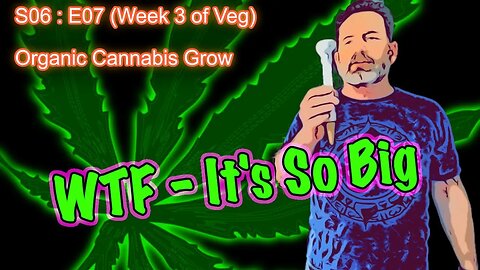 S06 E07 - Organic Cannabis Grow (Day #43) Week 3 of Veg & a New Gadget: Moisture Meter for Soil