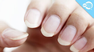 BrainStuff: How Long Can Fingernails Grow?