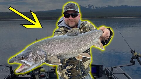 Multiple BIG TROUT Caught!!