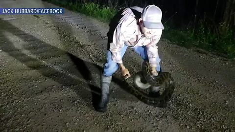 Professional Python Hunter Helps Man Conquer His Fear Of Snakes