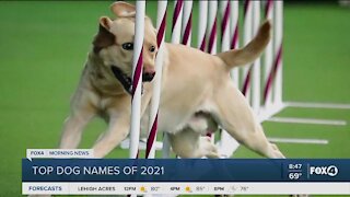 Top dog names of 2021