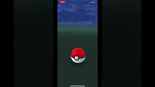 Pokémon Go - Catching Explorer Pikachu