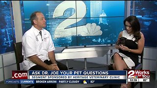 Ask Dr. Joe: Answering your pet questions July 25