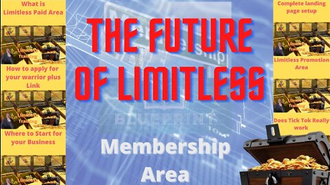 The Future of Limitless