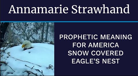 Prophetic Meaning For America - Snow Covered Eagle's Nest