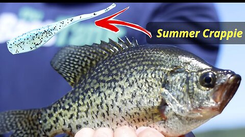Crappie Fishing and Fishing Electronics