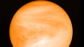 NASA Considers Venus Mission After Scientists Find Potential Life Sign