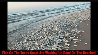 Fish On The Texas Coast Are Washing Up Dead On The Beaches!