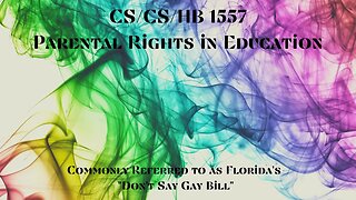 "Don't Say Gay" Bill and What the Facts Actually Point to