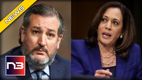 Ted Cruz goes SCORCHED EARTH on Kamala Harris and Her Border Mess