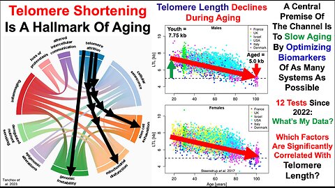 Telomere Length Test #12: Correlations With Diet