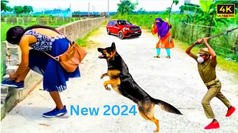 Must Watch New Funny Video 2024Top New Comedy Video 2024