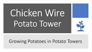 Chicken Wire Potato Tower - Growing Potatoes in Towers