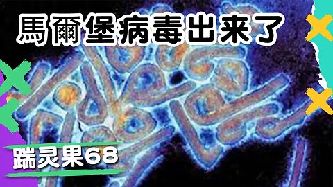 踹零果68：馬爾堡病毒和殭屍病毒來了；跟著美國議員投資發大財