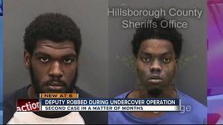 Undercover detective robbed at gunpoint in Hillsborough County