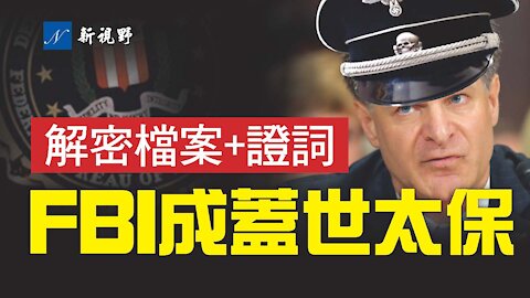 FBI局長參議院作證，一個蓋世太保式大抓捕川普支持者的陰謀，正在悄悄醞釀！川普總統在白宮最後24小時解密的通俄門重要檔案內容曝光，做實FBI已經蛻變。FBI behaves likes a Gestapo