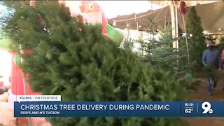 Local business delivers Christmas trees during ongoing pandemic